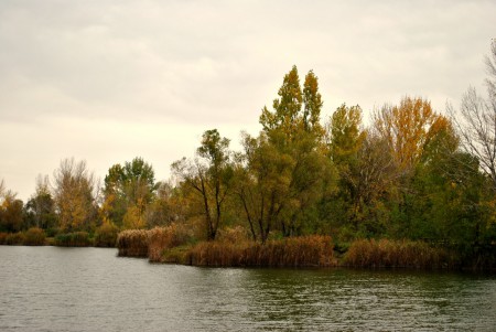Felhagyott kavicsbányató Marcelházán
